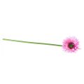 Floristik24 Konstgjorda blommor Gerbera rosa 47cm
