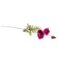Floristik24 Konstgjorda vallmo dekorativa sidenblommor rosa 70cm