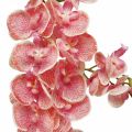 Floristik24 Konstgjorda orkidéer deco konstgjord blomma orkidé rosa 71cm