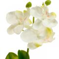 Floristik24 Konstgjorda orkidéer Konstgjord blomorkidé vit 20cm