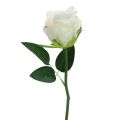 Floristik24 Konstgjorda rosor i ett gäng vita 30cm 8st