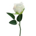Konstgjorda rosor i ett gäng vita 30cm 8 st | Floristik24.se