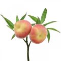Floristik24 Konstgjord persikogren 24cm deco persika konstgjord frukt