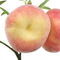 Floristik24 Konstgjord persikogren 24cm deco persika konstgjord frukt