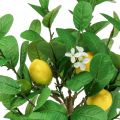 Konstgjord citronträd i kruka Citronträd 58cm