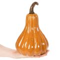 Keramisk pumpa höstbordsdekoration 26cm | Floristik24.se