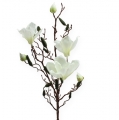 Floristik24 Magnolia gren konstgjord kräm 90cm