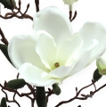 Floristik24 Magnolia gren konstgjord kräm 90cm
