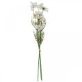 Floristik24 Konstgjorda blommor Cosmea vita sidenblommor H51cm 3st