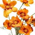 Floristik24 Konstgjorda blommor Cosmea Orange smyckekorg H51cm 3st