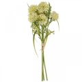Floristik24 Konstgjorda blommor vit allium dekoration prydnadslökar 34cm 3st i knippe