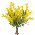 Floristik24 Konstgjord växt, silver akacia, deco mimosa gul, 39cm 3st