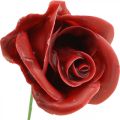 Konstgjorda rosor Bordeaux vaxrosor dekorativa rosor vax Ø6cm 18 st | Floristik24.se