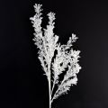 Floristik24 Konstgjord gren frostad dekorativ gren vinterdekoration vit 78 cm 2 st
