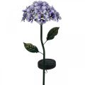 Floristik24 Lysande krysantemum, metalldekoration för trädgården, soldekoration med lysdioder lila L55cm Ø15cm