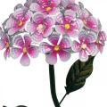 Floristik24 Solblomma, LED trädgårdsdekoration, dekorativ krysantemum rosa L55cm Ø15cm