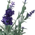 Floristik24 Lavendel i kruka Konstgjord Lila Rosa Ljuslila H26cm 3st