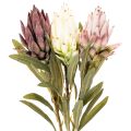 Protea konstgjord blomma