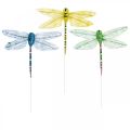 Floristik24 Sommardekoration, trollsländor på tråd, dekorativa insekter gul, grön, blå B10,5cm 6st