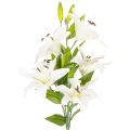 Floristik24 Konstgjorda liljor, 6 vita blommor, realistisk blommande gren, 66 cm