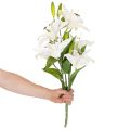 Konstgjorda liljor, 6 vita blommor, realistisk blommande gren, 66 cm | Floristik24.se