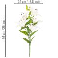 Konstgjorda liljor, 6 vita blommor, realistisk blommande gren, 66 cm | Floristik24.se