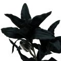 Floristik24 Konstgjord blomma lilja svart 84cm