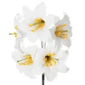 Floristik24 Konstgjord lilja, vit, på tråd, medelstor, 35 cm, 5 stycken