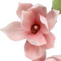 Floristik24 Konstgjord magnolia ljusrosa 70cm