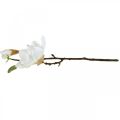 Floristik24 Magnolia vit konstgjord blomma med knoppar på dekorativ gren H40cm