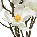 Floristik24 Konstgjorda magnoliakrenar vit deco-gren H40cm 4st i gäng
