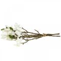 Floristik24 Konstgjorda magnoliakrenar vit deco-gren H40cm 4st i gäng