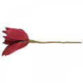 Floristik24 Konstgjord magnolia röd konstgjord blomma skum blomdekoration Ø10cm 6st