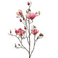 Floristik24 Magnolia gren violett 110cm 1 st