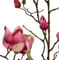Floristik24 Magnolia gren violett 110cm 1 st