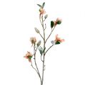 Floristik24 Magnolia gren ljusrosa L 82cm