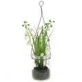 Floristik24 Lily of the valley i ett glas för att hänga H22cm