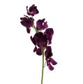 Floristik24 Mokara orkidé lila 50cm konstgjord 6st