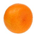 Floristik24 Mandarin Ø7cm orange