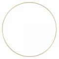 Floristik24 Metallring dekorring Scandi ring deco loop golden Ø25cm 4st