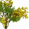 Floristik24 Mimosa gul konstgjord konstväxt gäng 39cm
