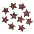Floristik24 Mini glitterstjärna för spridning av bruna 2,5 cm 48st