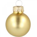 Floristik24 Mini julkulor glas guld Ø2,5cm 24st