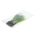 Floristik24 Minigräs med rötter 18 cm grönt 6st