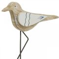 Floristik24 Trämås, maritim dekoration, kustfågel Shabby Chic, blått och vitt H25cm