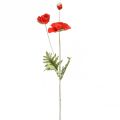 Floristik24 Vallmo dekorativ trädgårdsblomma med 3 blommor röd L70cm