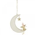 Floristik24 Adventsdekoration, ängel på månen, trädekoration för att hänga vitt, gyllene H14,5cm B21,5cm 3st