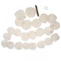 Shell Garland Pärlemor Shell Garland Capiz 195cm | Floristik24.se