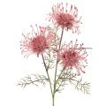 Floristik24 Konstgjord blomma nåldyna protea blommande gren 65cm 3st