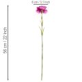 Konstnejlika, tvåfärgad, lång stjälk 56 cm, knippe om 8 | Floristik24.se